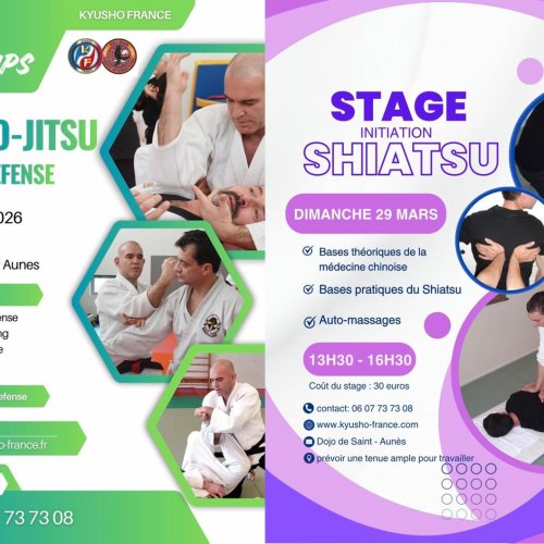 Stage Kyusho et Shiatsu 